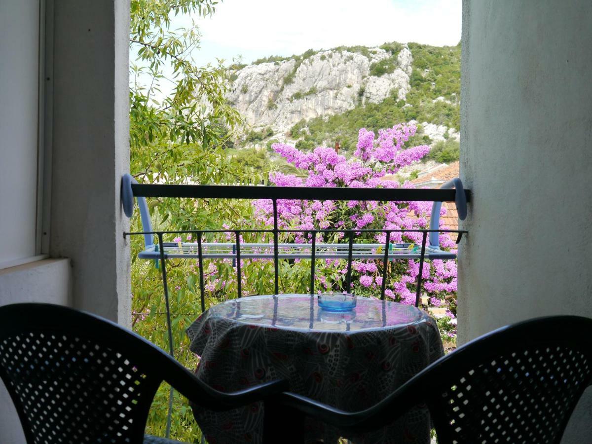 Apartment Dragovic クレック エクステリア 写真